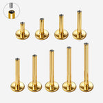Separate Titanium Labret Post gold-coloured