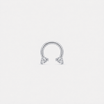 Nova Horseshoe silver-coloured 6 mm