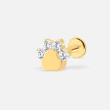 Paw Crystal Push-In Labret goudkleurig